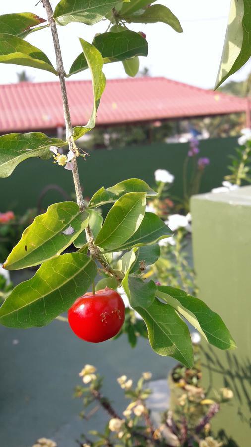 Heavenly Homestay Kochi Eksteriør bilde