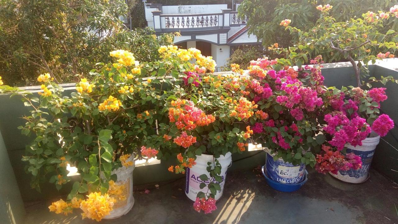 Heavenly Homestay Kochi Eksteriør bilde